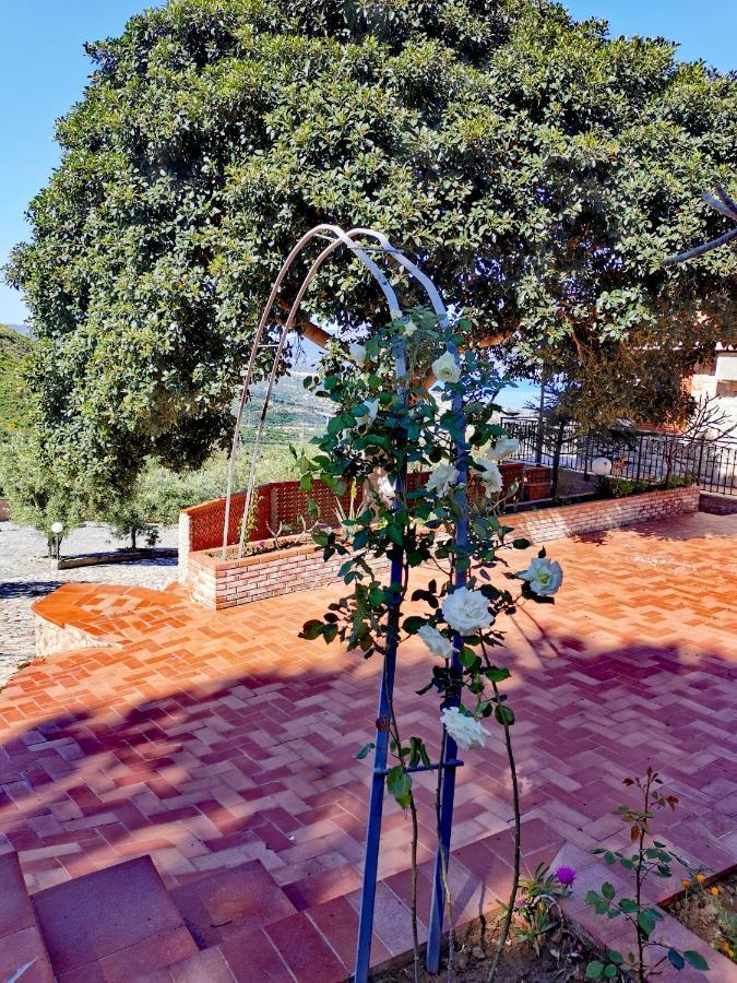 Villa Verde Cefalù Εξωτερικό φωτογραφία