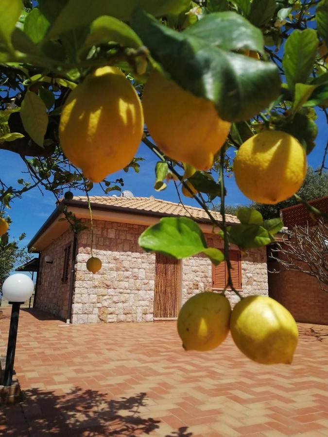 Villa Verde Cefalù Εξωτερικό φωτογραφία