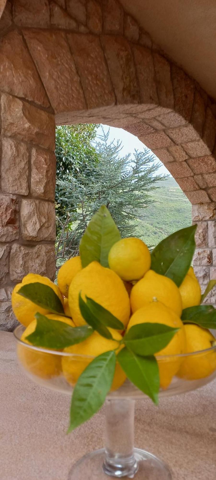 Villa Verde Cefalù Εξωτερικό φωτογραφία